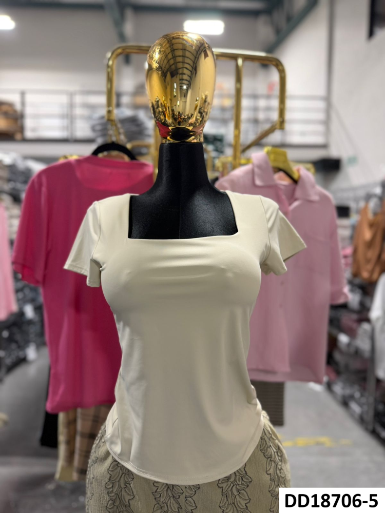 BLUSA BIIANCA DD18706