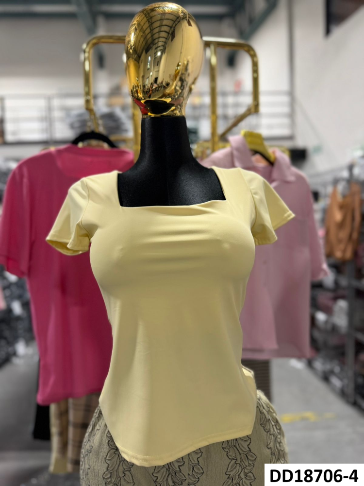 BLUSA BIIANCA DD18706