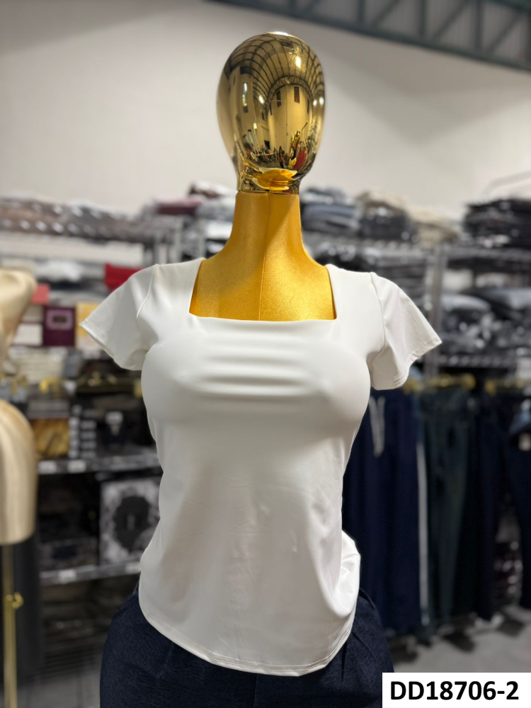 BLUSA BIIANCA DD18706