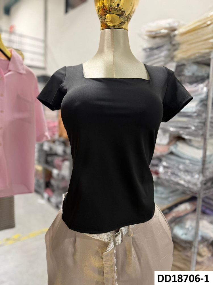 BLUSA BIIANCA DD18706
